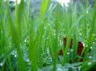 M_DSC02840