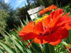 M_m_DSC02498