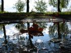 M_m_DSC02674